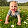 Asher