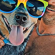 River is registered to the contest to win money with this photo: dog, man, sunglasses, rainbow, tongue_out, smiling, selfie, car, seat, reflection, happy, closeup, portrait, friendship, summer, fun, road_trip, casual, cheerful, accessory