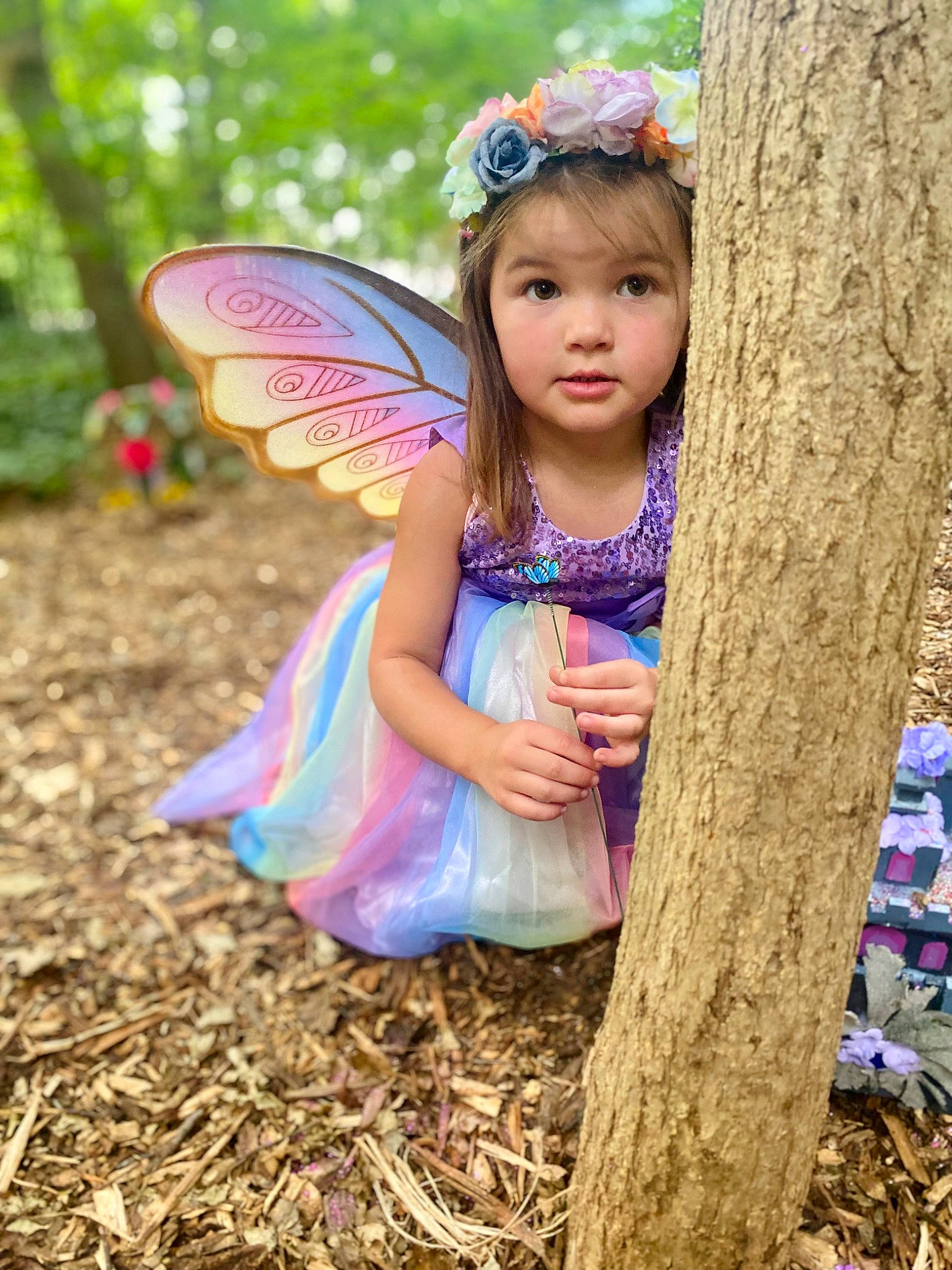 Paisley is registered to the contest to win money with this photo: botany, child, electric_blue, fawn, fun, grass, happy, insect, leisure, magenta, people_in_nature, person, pink, plant, pollinator, summer, sunlight, toddler, tree, trunk