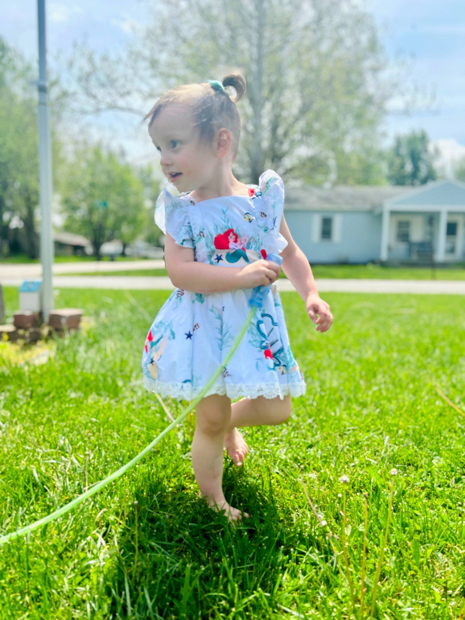 Magnolia joined the competition — help win amazing prizes! baby_toddler_clothing, child, day_dress, dress, electric_blue, fun, grass, grass_family, grassland, groundcover, happy, lawn, meadow, pattern, people_in_nature, person, plant, sky, sleeve, toddler