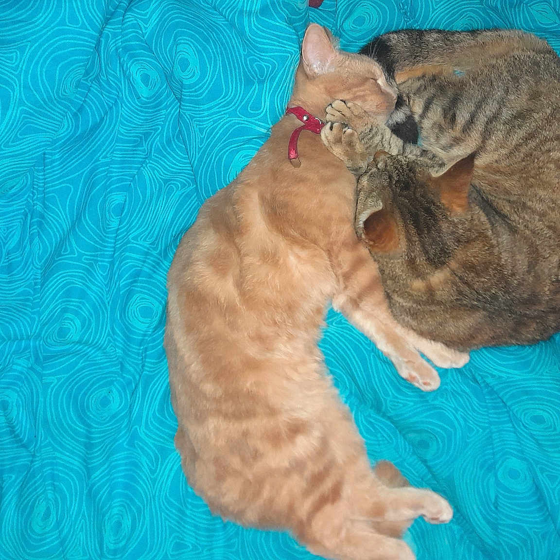 Moka Et Cina