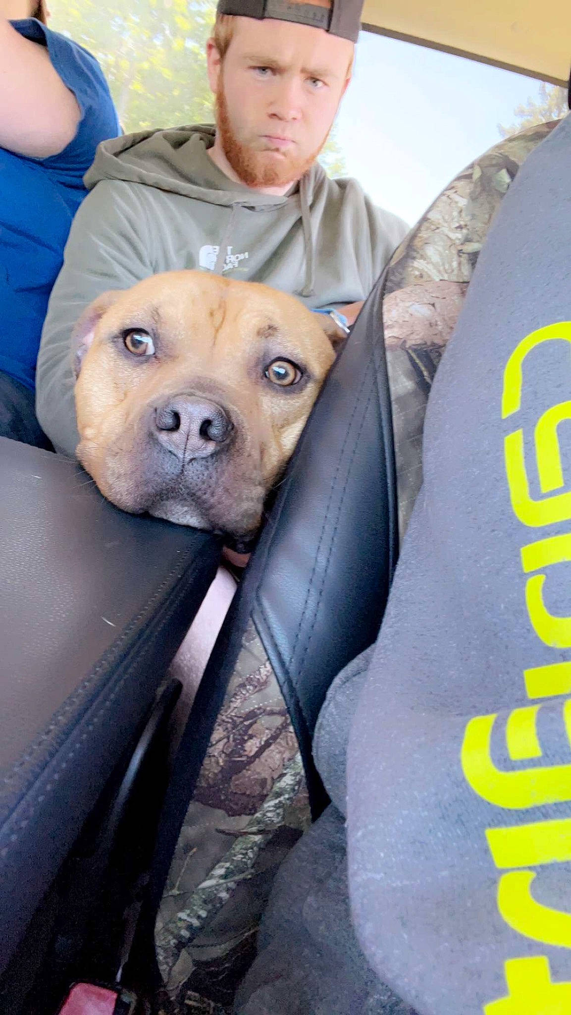 Maxwell joined the competition — help win amazing prizes! ancient_dog_breeds, canidae, carnivore, companion_dog, dog, dog_breed, fawn, fur, hood, motor_vehicle, non_sporting_group, personal_protective_equipment, recreation, selfie, sitting, snout, suidae, working_animal