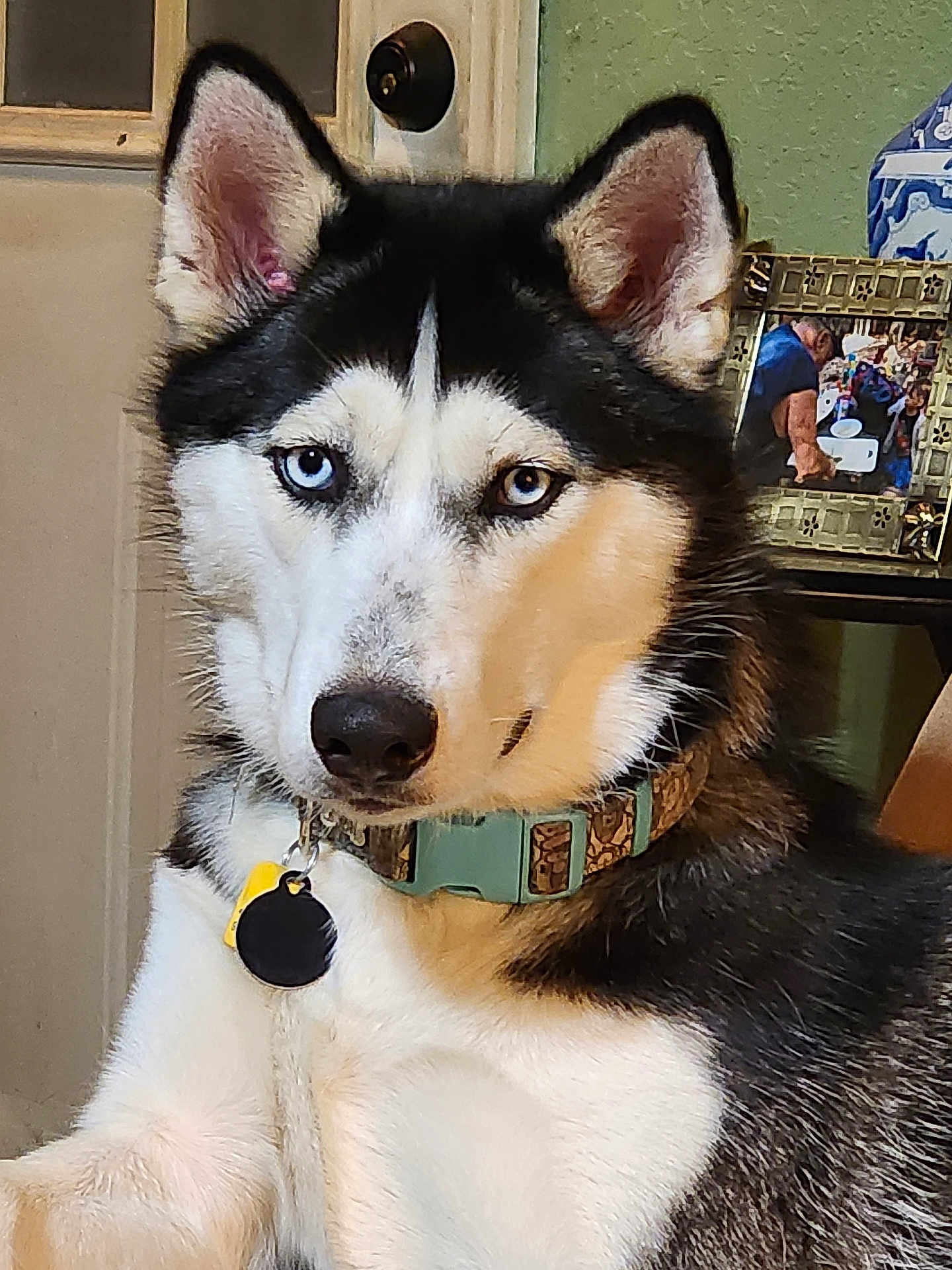 Leia