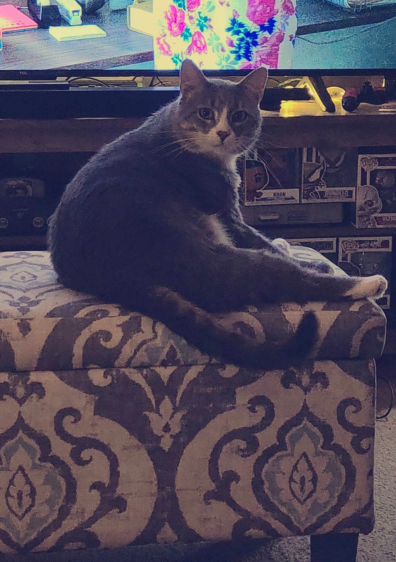 Smokey