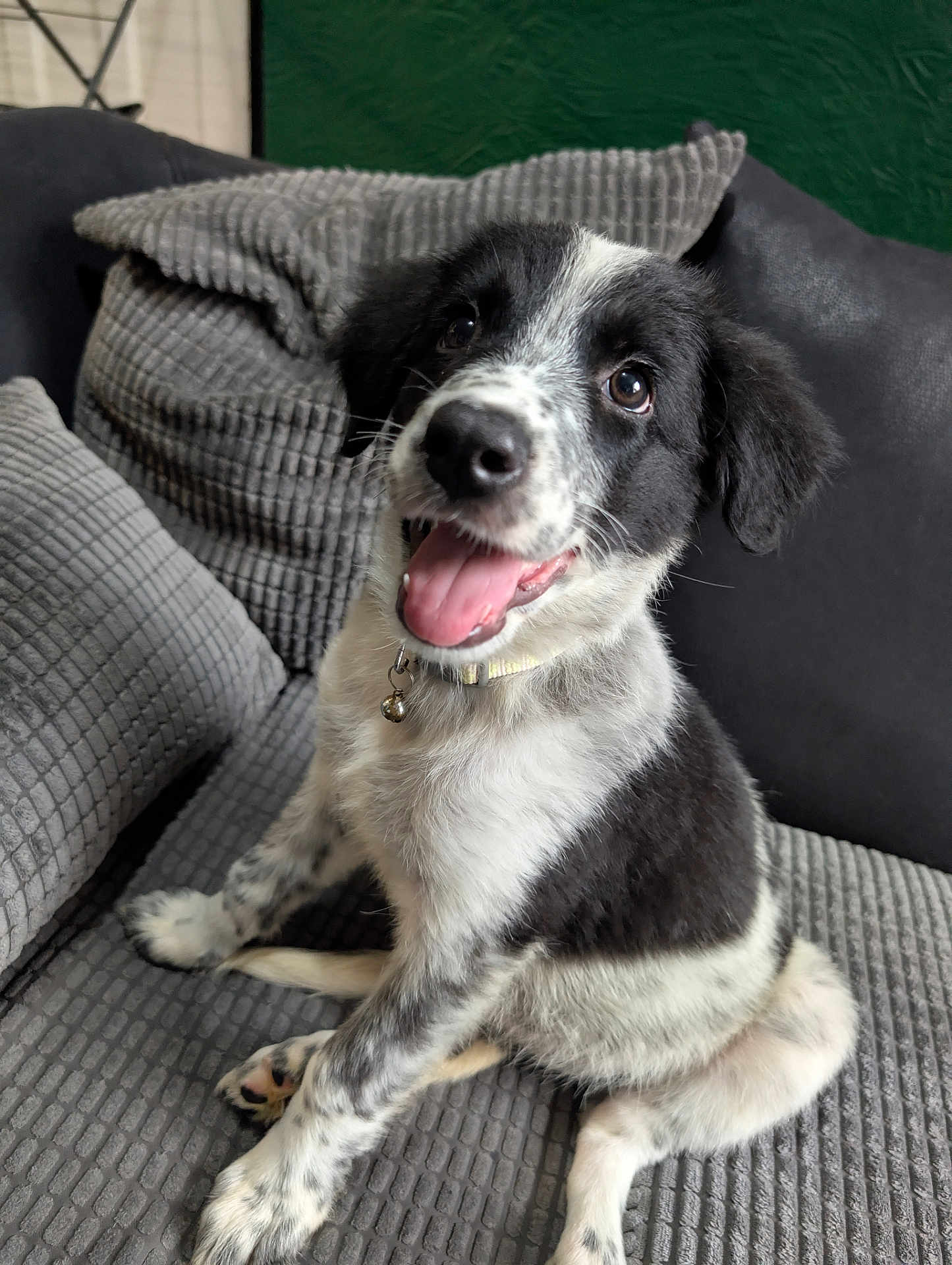 Luna
