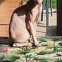 Loki a rejoint le concours — aidez-le/la à gagner de superbes lots ! sphynx_cat, hairless_cat, cat, table, tablecloth, floral_pattern, plant, outdoor, sunlight, patio, chair, furniture, greenery, animal, pet, wrinkled_skin, sitting, relaxed, daylight, nature