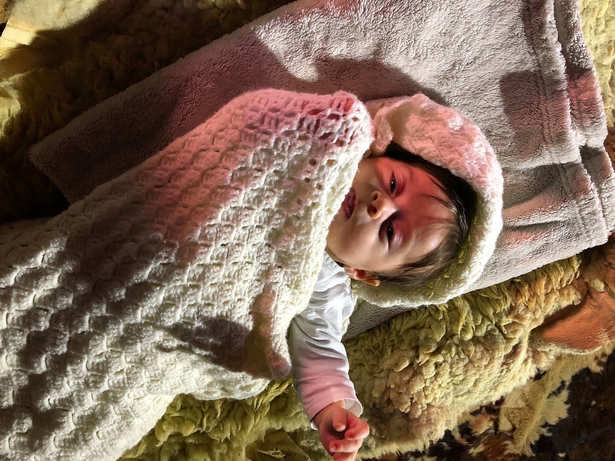 Théo participe au concours pour gagner de l'argent avec cette photo : adaptation, baby, child, comfort, eye, grass, head, headgear, leaf, mammal, mouth, nose, organism, outerwear, person, skin, textile, toddler, vertebrate, wood