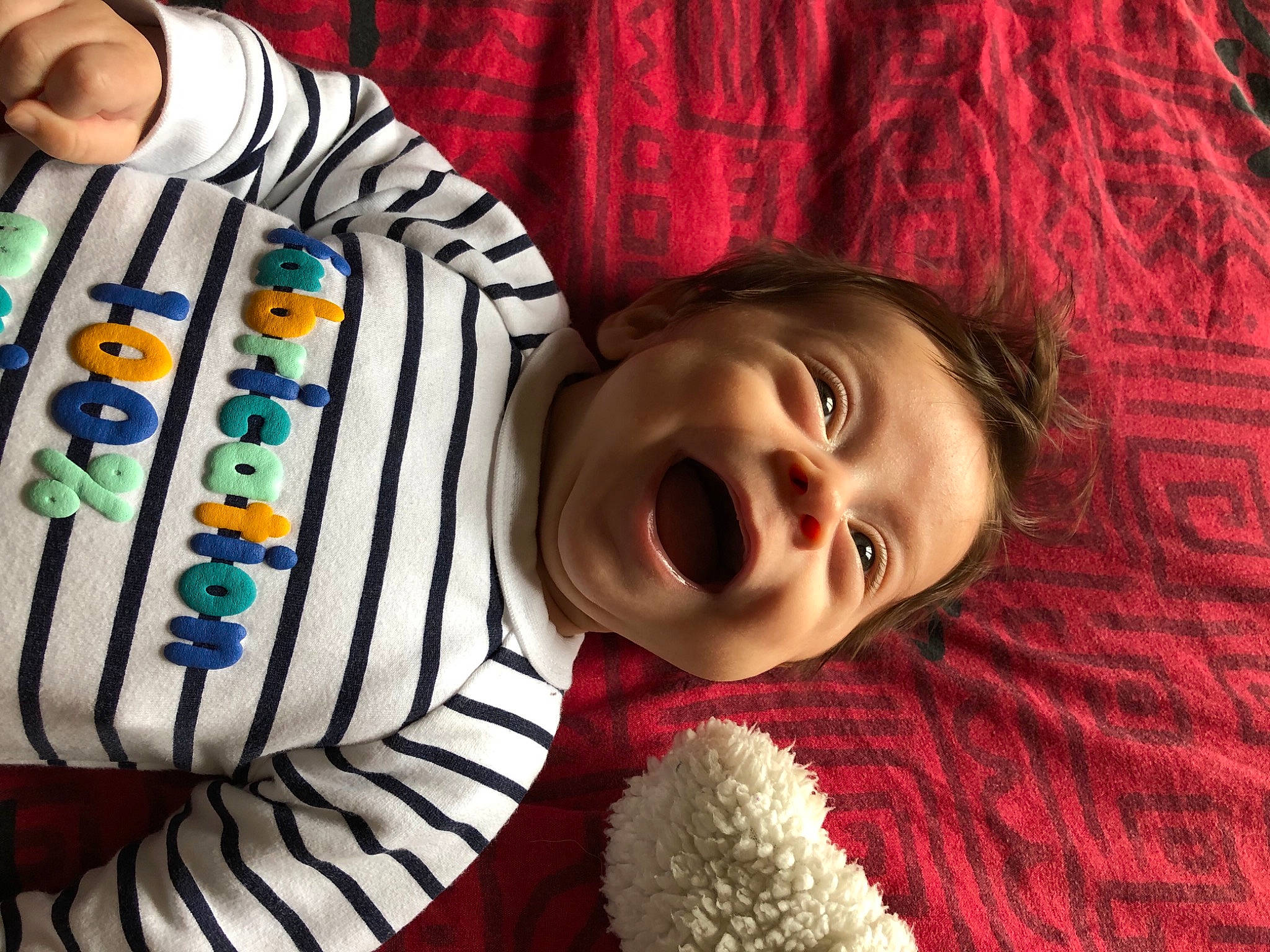 Théo participe au concours pour gagner de l'argent avec cette photo : baby, baby_toddler_clothing, cheek, child, event, fun, fur, gadget, happy, laugh, nail, nose, organ, pattern, person, play, room, smile, sweetness, toddler