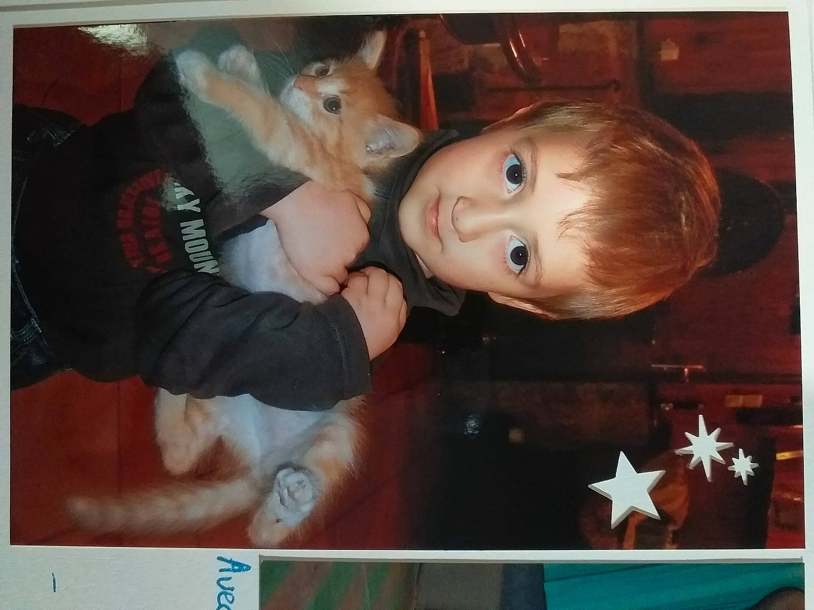 Gypsi a rejoint le concours — aidez-le/la à gagner de superbes lots ! baby, blond, photo_caption, star, stuffed_toy, toy