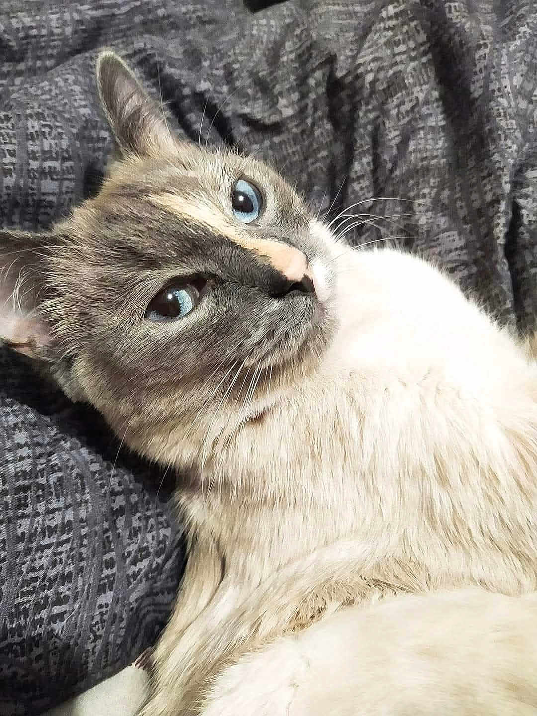 Tyna