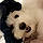Filou