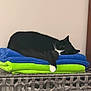 Scooter joined the competition — help win amazing prizes! basket, black_and_white, cat, cozy, fabric, folded_towels, furniture, home_interior, indoor, nap, paw, pet, relaxed, resting, sleeping, stacked, towel, tuxedo_cat, whiskers, wicker_basket