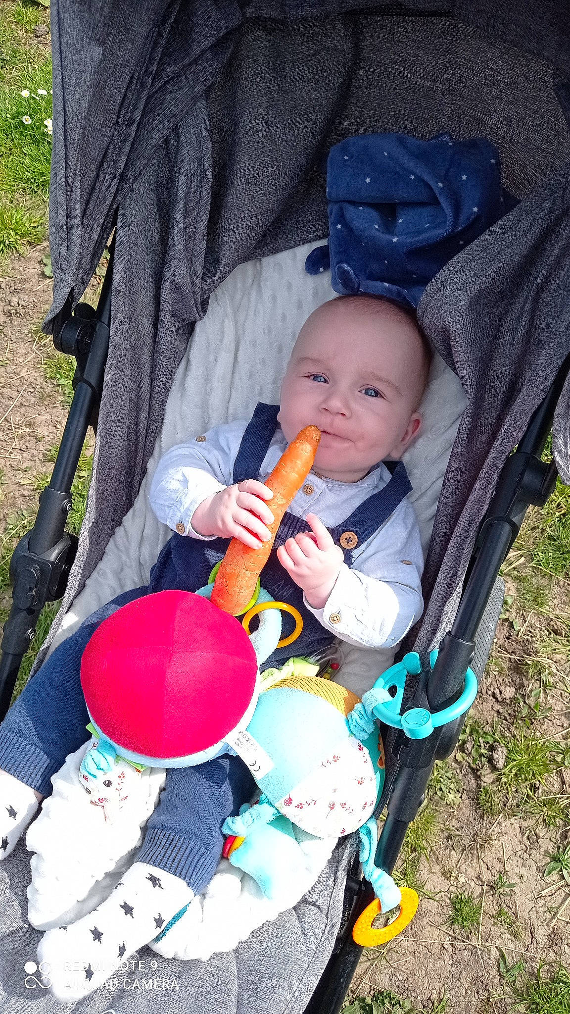 Scott participe au concours pour gagner de l'argent avec cette photo : baby, baby_carriage, baby_products, baby_toddler_clothing, black, carmine, child, comfort, electric_blue, eye, fun, grass, happy, lap, person, product, recreation, sitting, toddler, toy