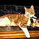 Shere Khan