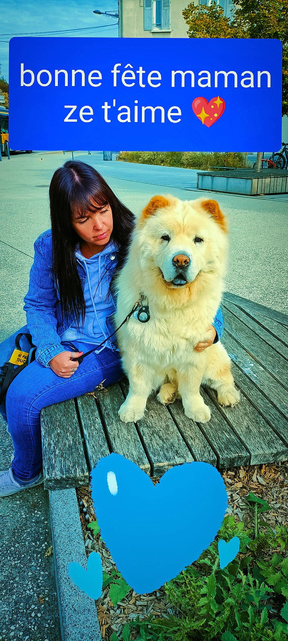 Oumi participe au concours pour gagner de l'argent avec cette photo : ancient_dog_breeds, blue, canidae, carnivore, companion_dog, dog, dog_breed, dog_supply, electric_blue, fun, fur, happy, leisure, non_sporting_group, recreation, sitting, spitz, sporting_group, working_dog