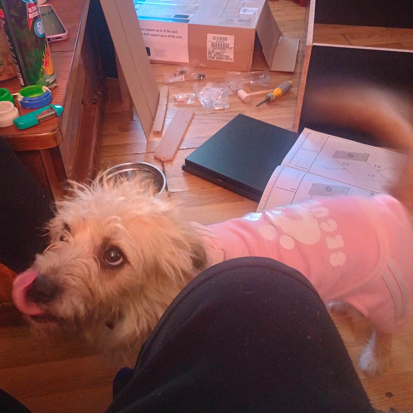 Molly