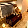 Marvel participe au concours pour gagner de l'argent avec cette photo : candle, cat, cozy, decor, feline, home, indoor, orange_cat, pet, quiet, radiator, relaxed, rug, sitting, tile_floor, vintage, wall, warm_lighting, window, wooden_chest