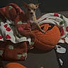 Sugar is registered to the contest to win money with this photo: dog, chihuahua, blanket, plush_toy, couch, orange, brown, white, pattern, cozy, pet, indoor, small_dog, fur, ears, cute, resting, looking, animal, soft