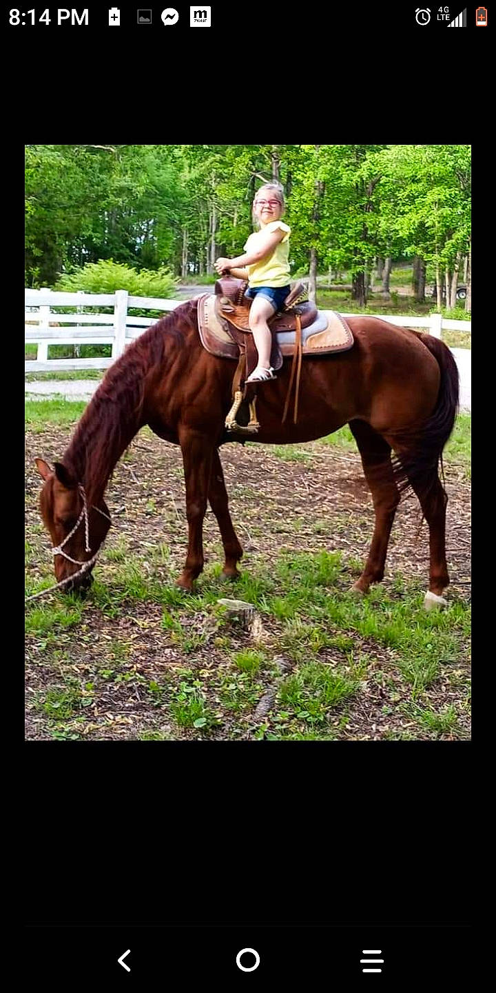 Jaycee is registered to the contest to win money with this photo: bit, bridle, equestrian_sport, equestrianism, grass, halter, horse, horse_supplies, horse_tack, jockey, joy, liver, mane, organism, pack_animal, person, plant, rein, saddle, sorrel