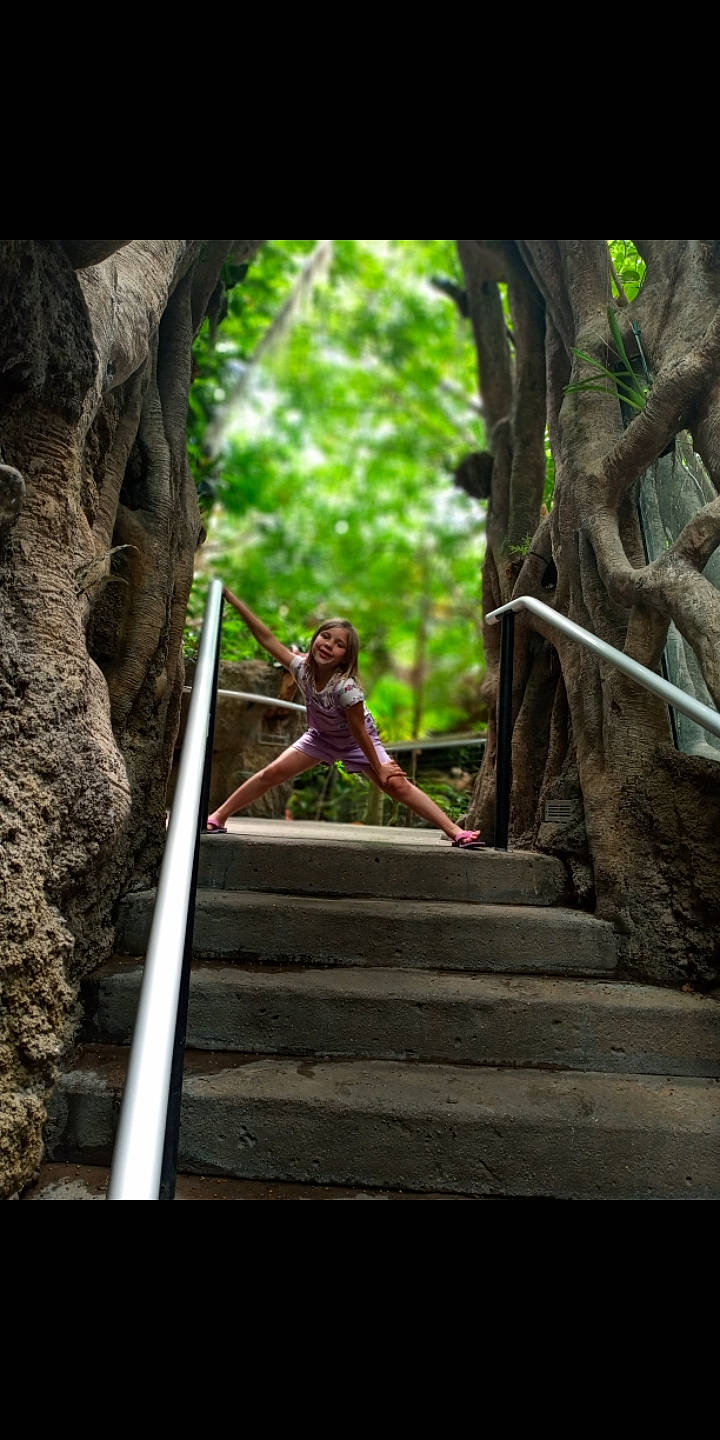 Jaycee is registered to the contest to win money with this photo: adaptation, botany, forest, grass, joy, jungle, landscape, leaf, leisure, organism, person, plant, recreation, rock, stairs, temple, terrestrial_plant, tree, trunk, vegetation