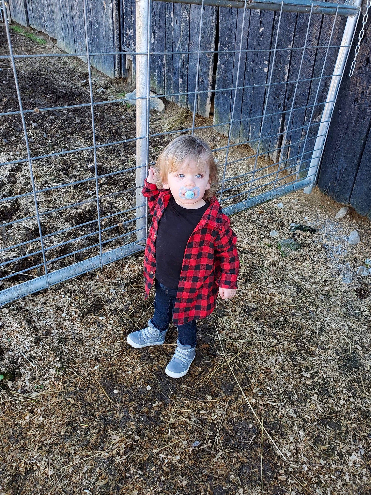 Van is registered to the contest to win money with this photo: baby, baby_toddler_clothing, chain_link_fencing, child, fence, mesh, pattern, person, plaid, play, shoe, toddler, wire_fencing