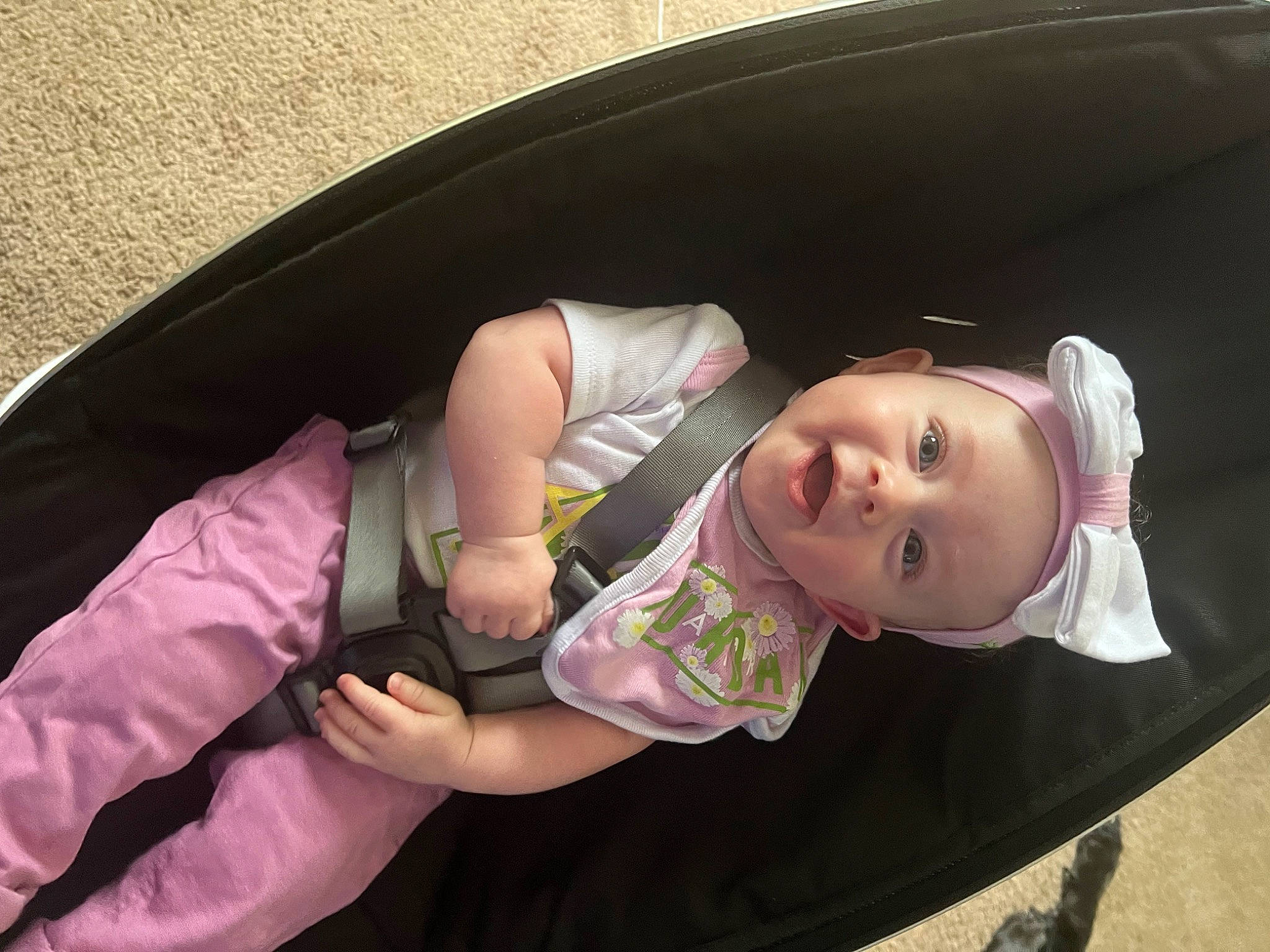 Josie Jane is registered to the contest to win money with this photo: auto_part, baby, baby_carriage, baby_products, baby_safety, baby_toddler_clothing, car_seat, cheek, child, circle, comfort, fun, grass, hat, infant_bed, person, sitting, toddler, vehicle_door