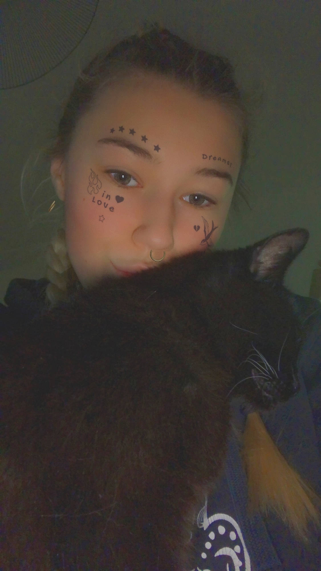 Lola participe au concours pour gagner de l'argent avec cette photo : carnivore, cat, cheek, comfort, ear, eyebrow, eyelash, felidae, flash_photography, formal_wear, fur, iris, jaw, lip, long_hair, neck, nose, small_to_medium_sized_cats, smile, whiskers