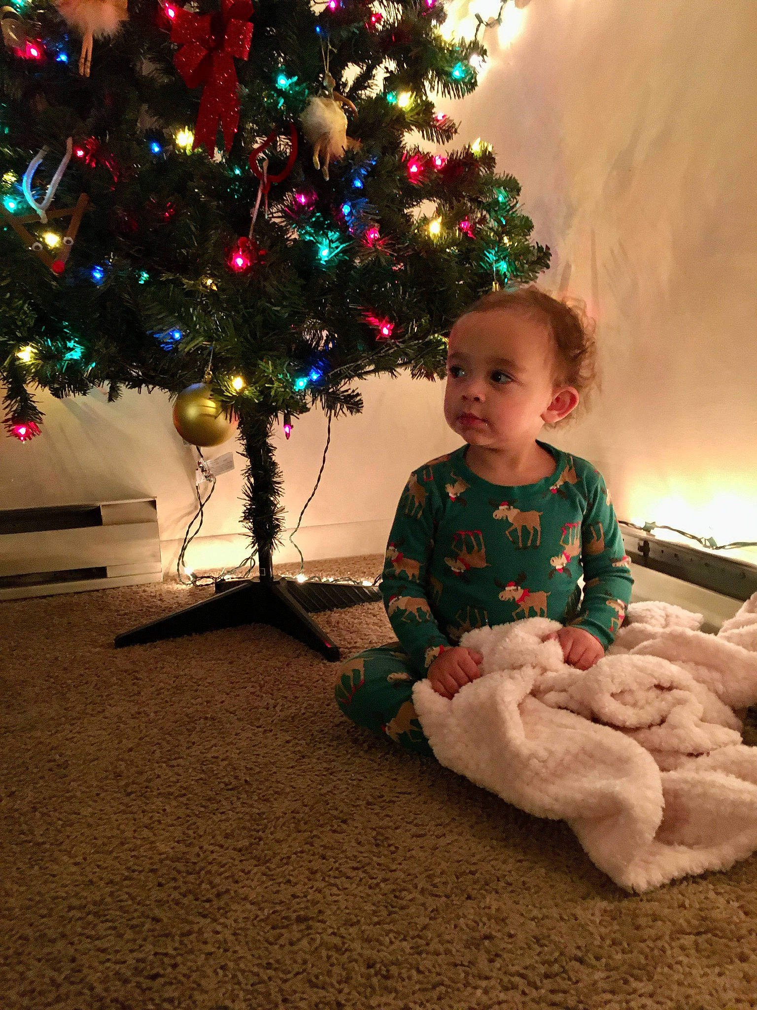 Marley joined the competition — help win amazing prizes! child, christmas, christmas_decoration, christmas_eve, christmas_lights, christmas_ornament, christmas_tree, conifer, event, fir, holiday, holiday_ornament, interior_design, person, pine_family, play, toddler, tree