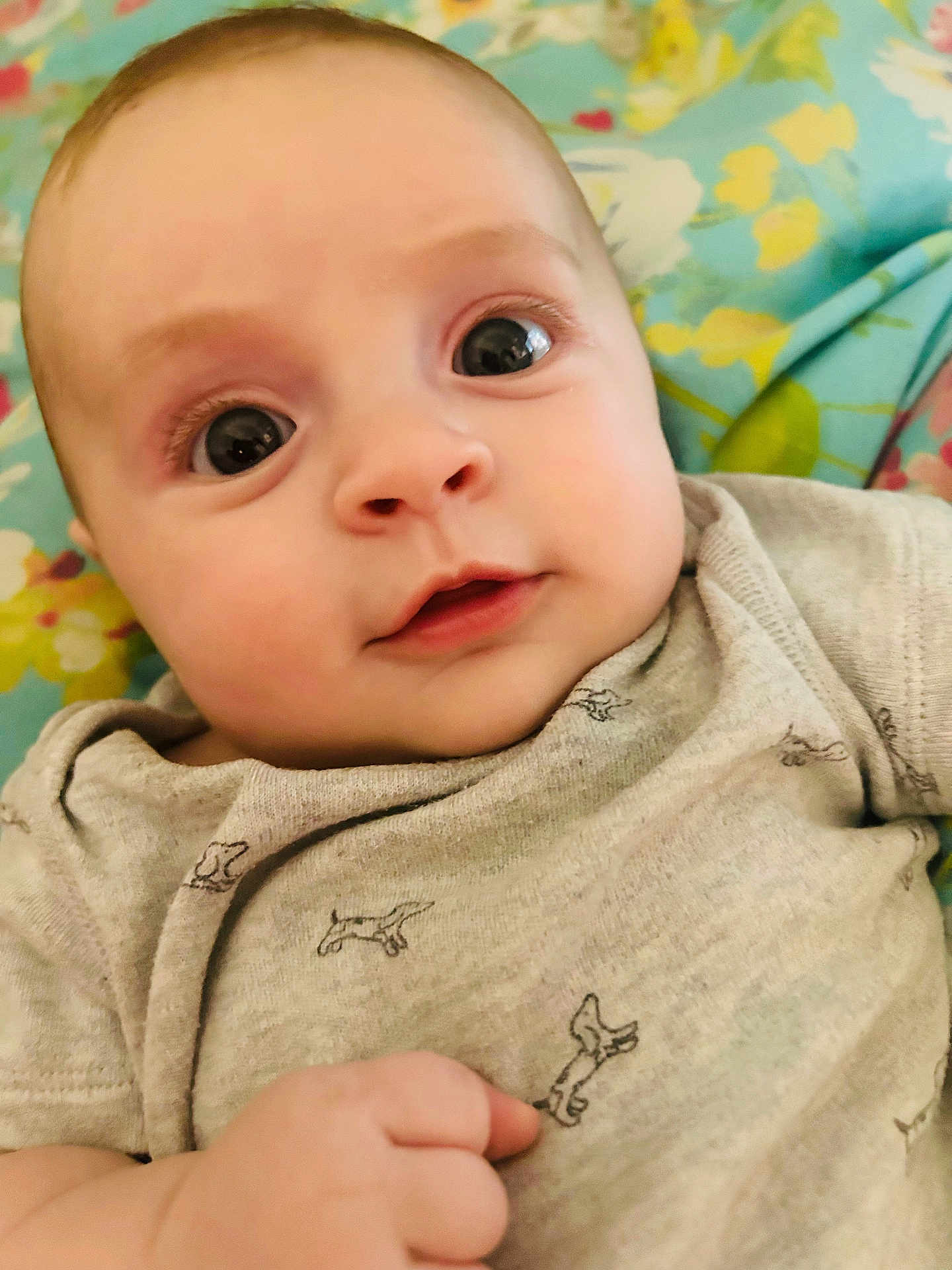Bonnie is registered to the contest to win money with this photo: baby, infant, close_up, face, eyes, onesie, grey_clothing, hand, curious_expression, lying_down, blanket, floral_pattern, cute, child, portrait, skin, young, indoors, person, soft_light