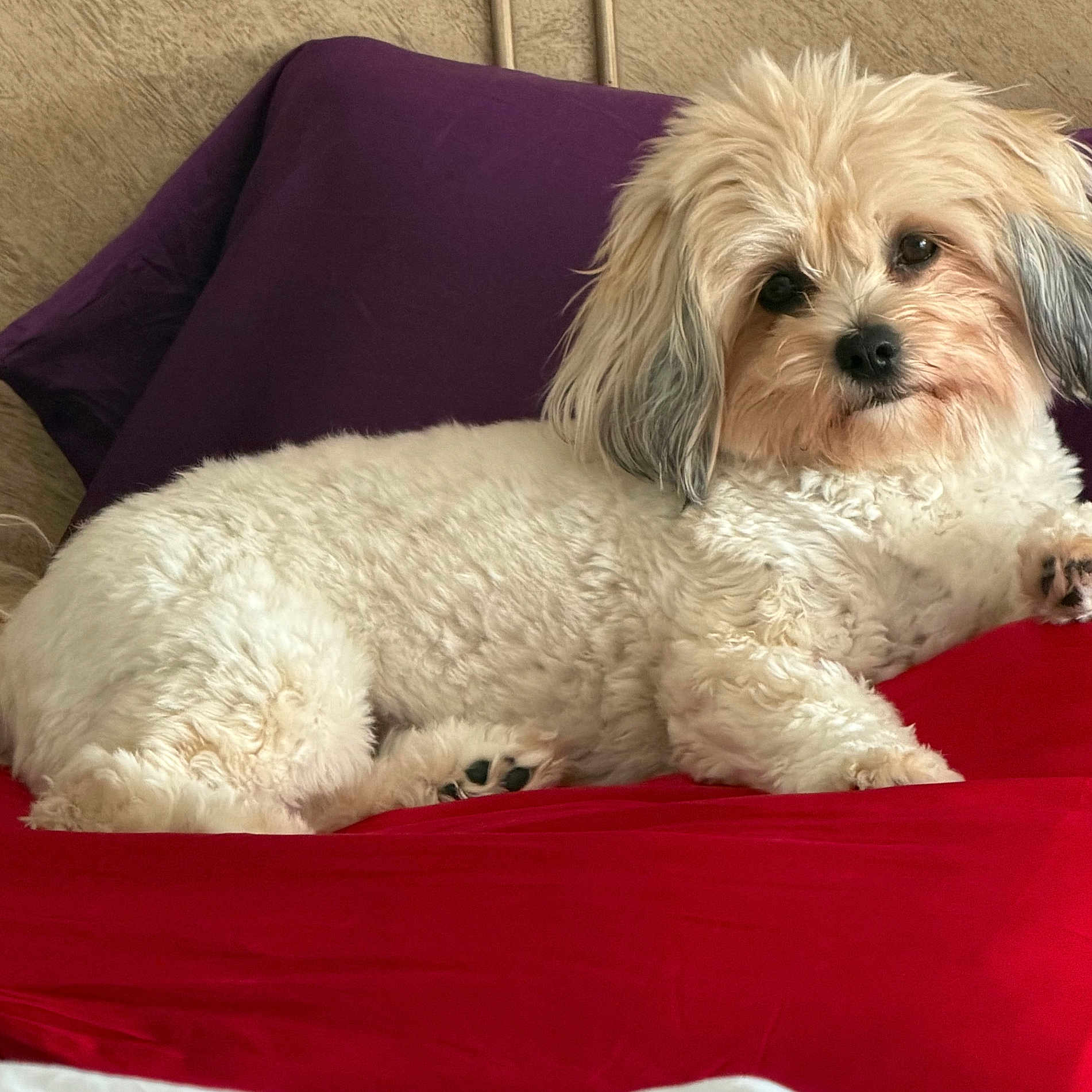 Rosie