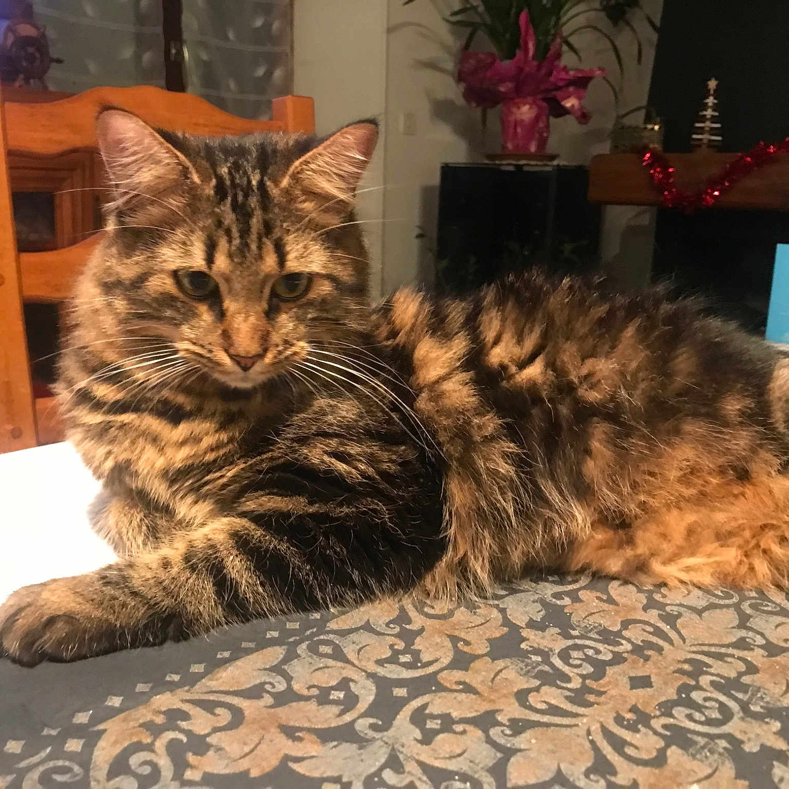 Tundra