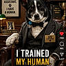 animal, badge, book, bow_tie, business, chair, dog, funny, indoor, lamp, leather_chair, office, paw, pet, plaque, portrait, suit, text_overlay, trophy, wood_paneling