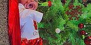 Andora joined the competition — help win amazing prizes! baby, infant, pacifier, christmas_tree, holiday, red_clothing, polka_dots, blanket, floor, wooden_floor, greenery, decorations, ornaments, headwear, toddler, festive, indoor, carpet, couch, cute