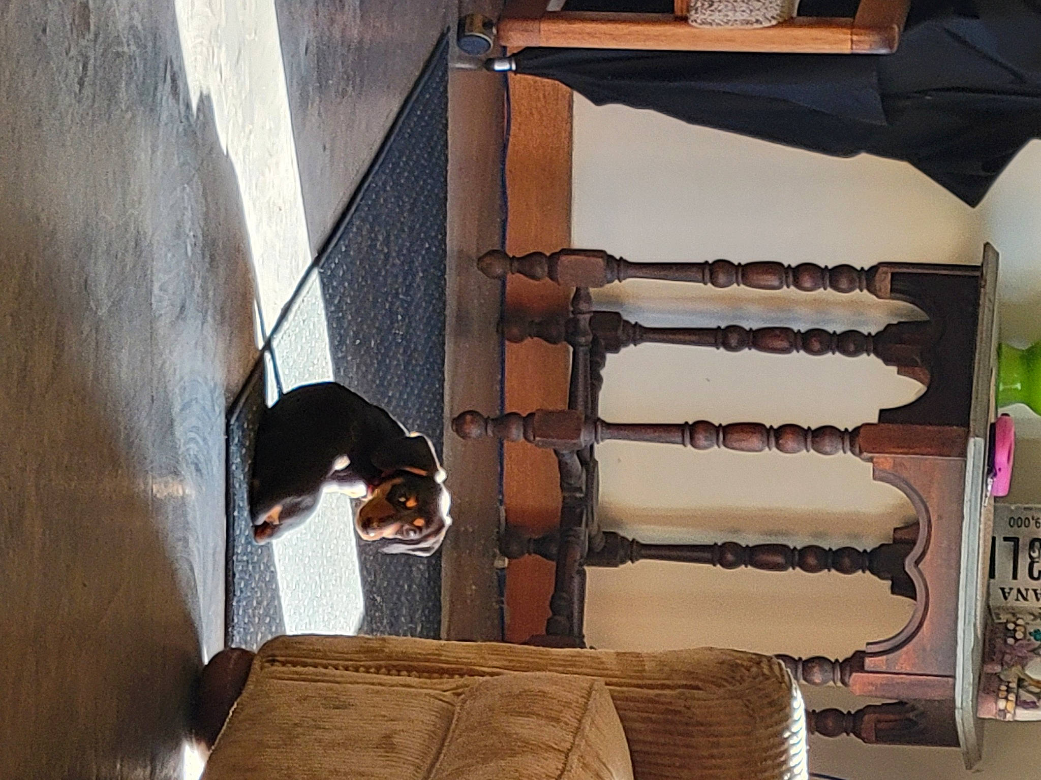 Olive is registered to the contest to win money with this photo: art, closet, comfort, couch, door, floor, flooring, hardwood, interior_design, linens, rectangle, room, shade, shadow, shelf, shelving, textile, tints_and_shades, window, wood