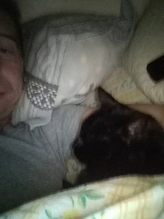 Mouss participe au concours pour gagner de l'argent avec cette photo : baby, black_cat, carnivore, cat, child, comfort, ear, felidae, kitten, nap, nose, sleep, small_to_medium_sized_cats, snout, whiskers