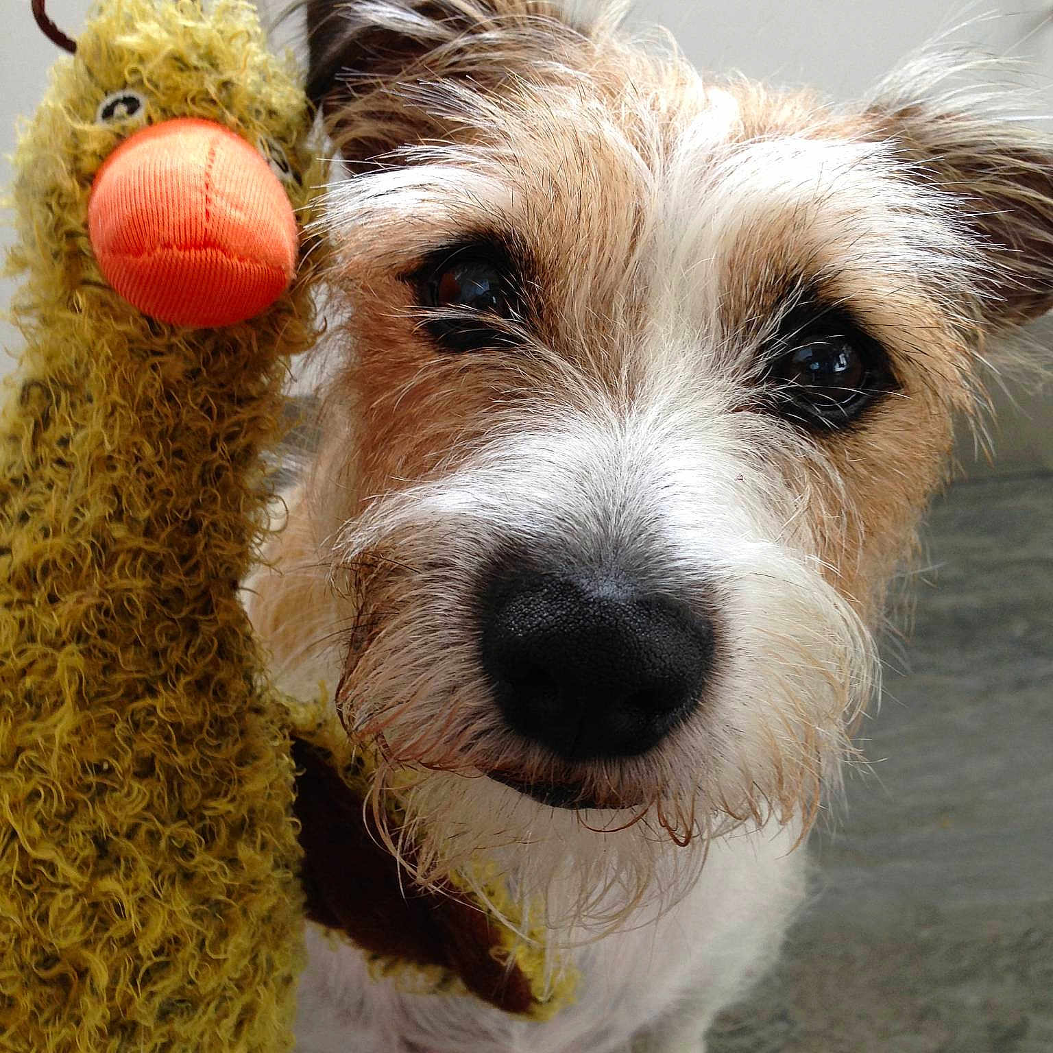 Darcy is registered to the contest to win money with this photo: