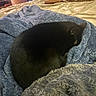 Franklin Flash joined the competition — help win amazing prizes! cat, black_cat, blanket, bed, cozy, fur, indoor, resting, sleeping, soft_texture, blue_blanket, furry, animal, pet, comfort, curled_up, relaxing, warm_lighting, home, furniture
