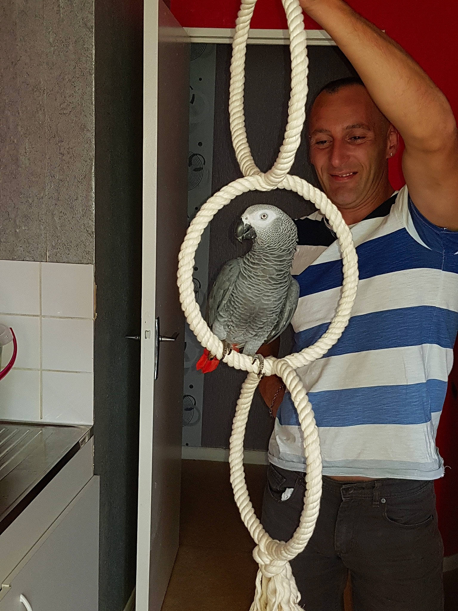 Jacob participe au concours pour gagner de l'argent avec cette photo : joy, neck, person, rope, window