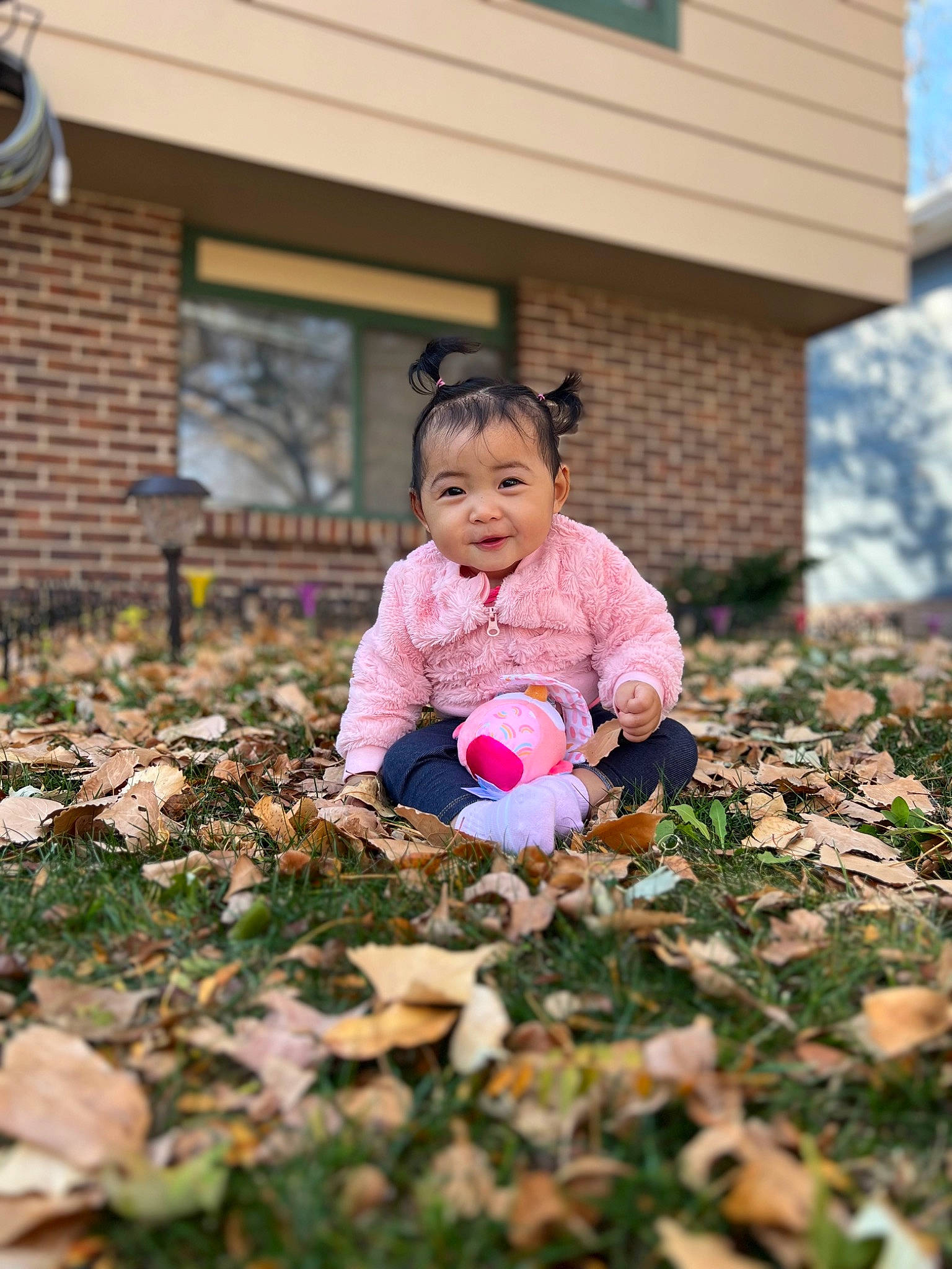 Dorothy is registered to the contest to win money with this photo: ball, building, child, eye, football, fun, grass, happy, house, landscape, leaf, leisure, people_in_nature, person, plant, pumpkin, soil, sports_equipment, toddler, tree