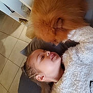 Mia a rejoint le concours — aidez-le/la à gagner de superbes lots ! child, dog, pomaranian, pet, furry, cute, indoor, couch, tile_floor, sweater, white_clothing, face, closeup, affection, relaxing, home, young_child, animal, furniture, cozy