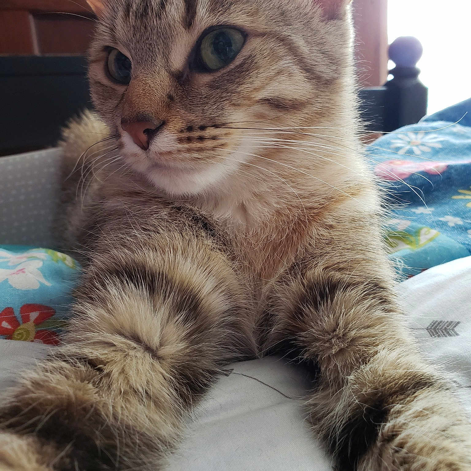 Princess