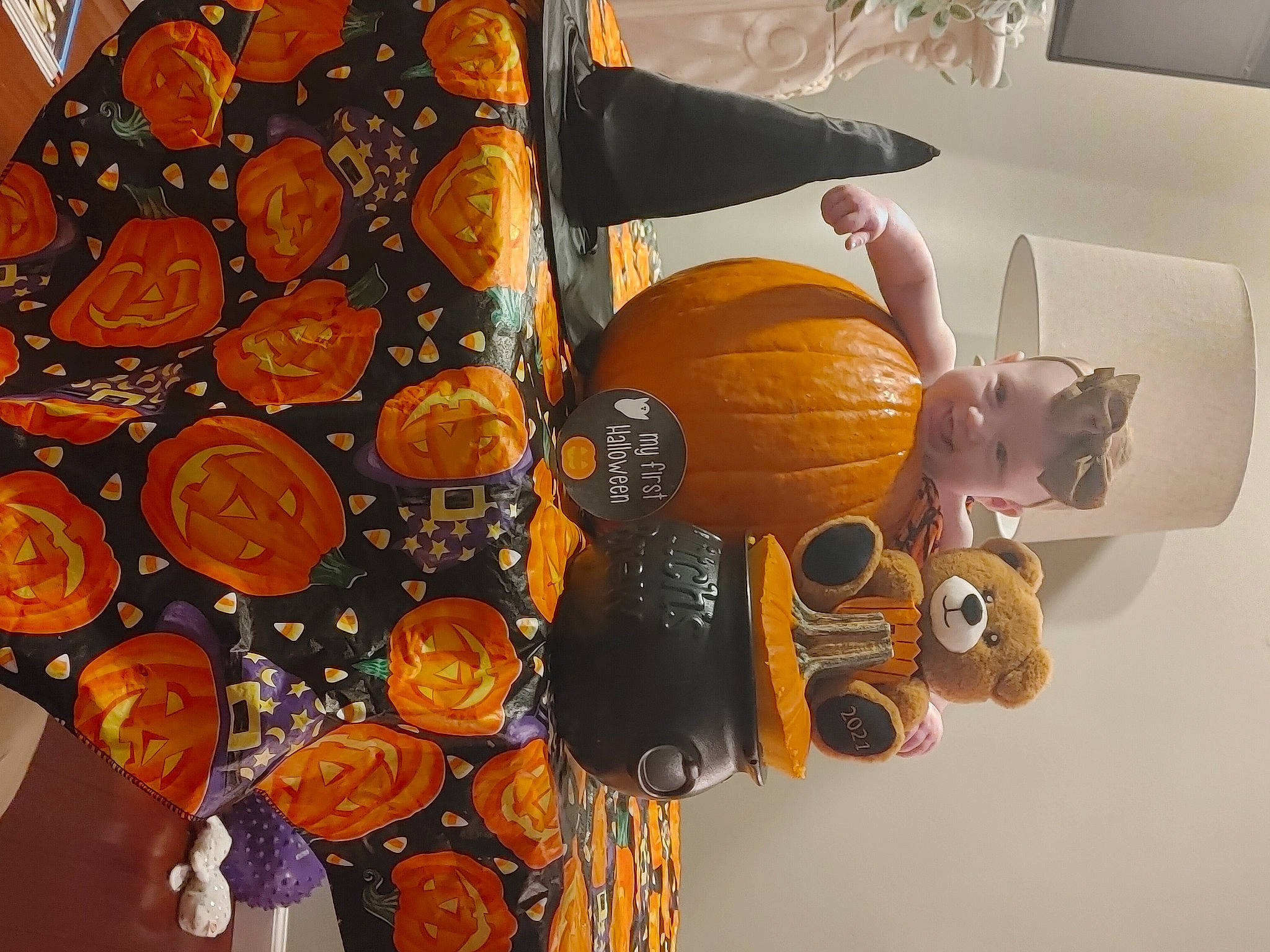 Aria is registered to the contest to win money with this photo: amber, art, calabaza, chair, circle, comfort_food, cucurbita, cuisine, fashion_accessory, finger_food, food, gourd, hat, orange, person, pumpkin, room, still_life, still_life_photography, visual_arts