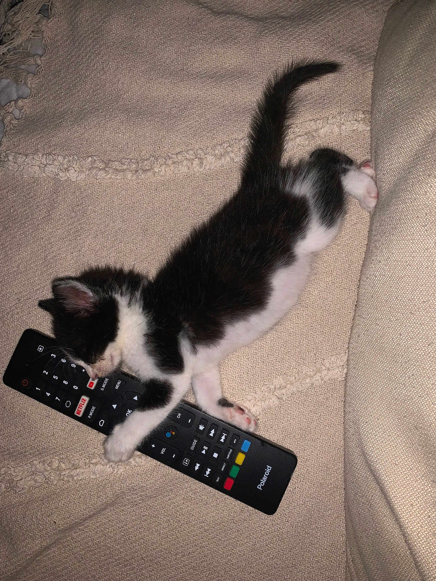 Ubby