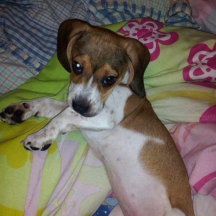 Princess is registered to the contest to win money with this photo:
