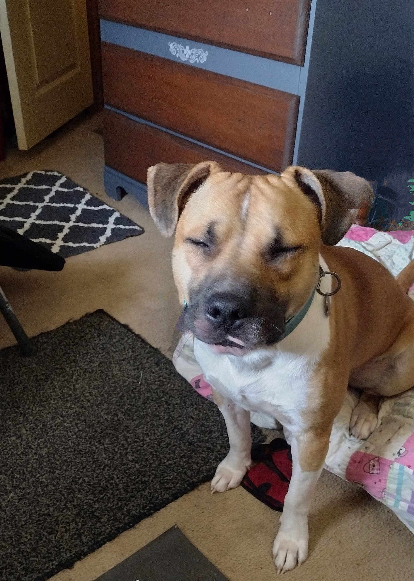 Bruiser