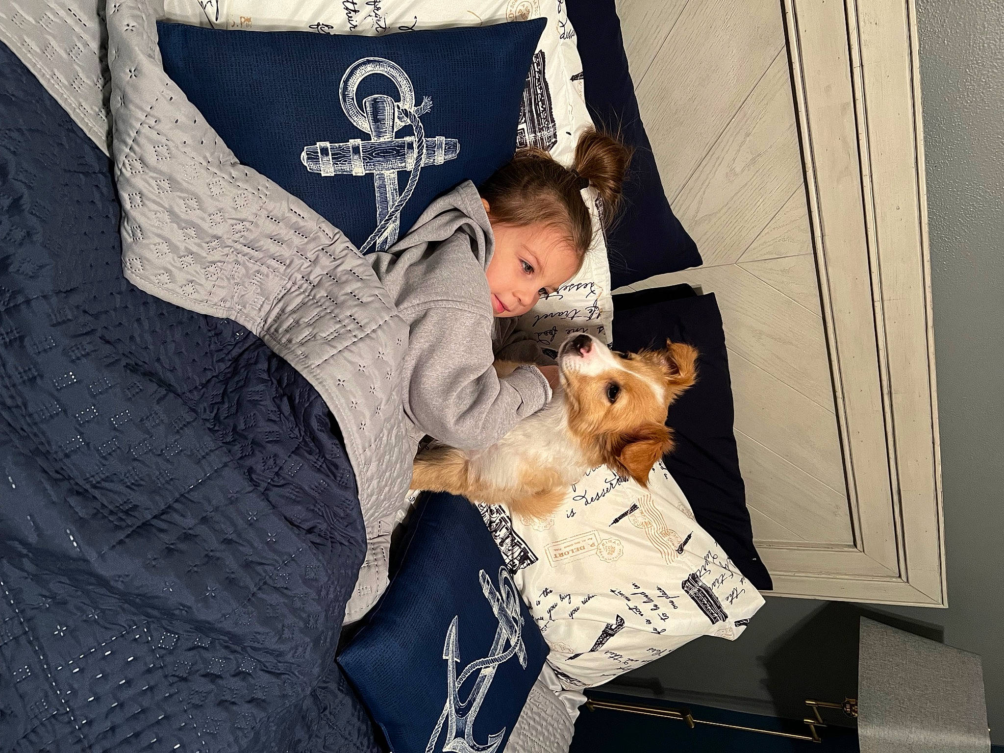 Dash is registered to the contest to win money with this photo: box, canidae, child, comfort, companion_dog, event, felidae, fun, fur, lap, room, shipping_box, sitting, textile