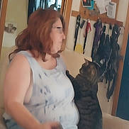 Reggie joined the competition — help win amazing prizes! animal, blur, brown_hair, casual_clothing, cat, chair, domestic, door, furniture, home, indoor, interaction, leash, long_hair, person, pet, relaxed, sitting, tabby_cat, woman