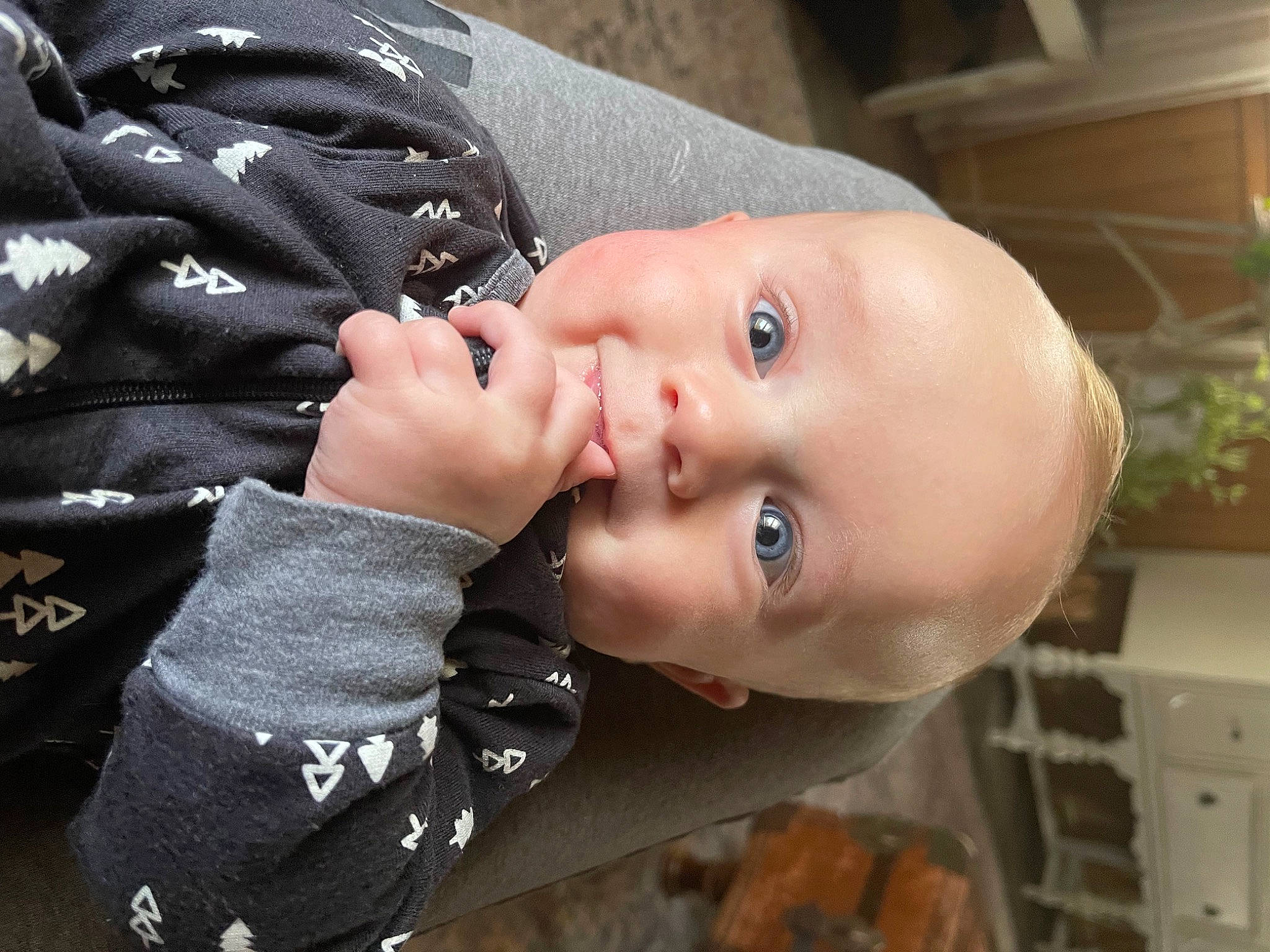 Clay is registered to the contest to win money with this photo: baby, baby_toddler_clothing, cheek, child, eyelash, fashion_accessory, flash_photography, flowerpot, happy, hat, house, houseplant, human_body, lip, nose, outerwear, person, plant, sleeve, toddler