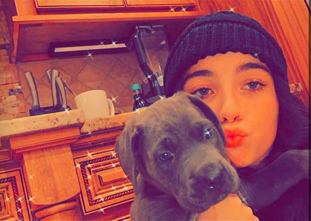 Lb Lovelace is registered to the contest to win money with this photo: beanie, cabinetry, canidae, cap, carnivore, companion_dog, dog, dog_breed, ear, fawn, fur, guard_dog, happy, headwear, knit_cap, person, picture_frame, selfie, sporting_group, t_shirt