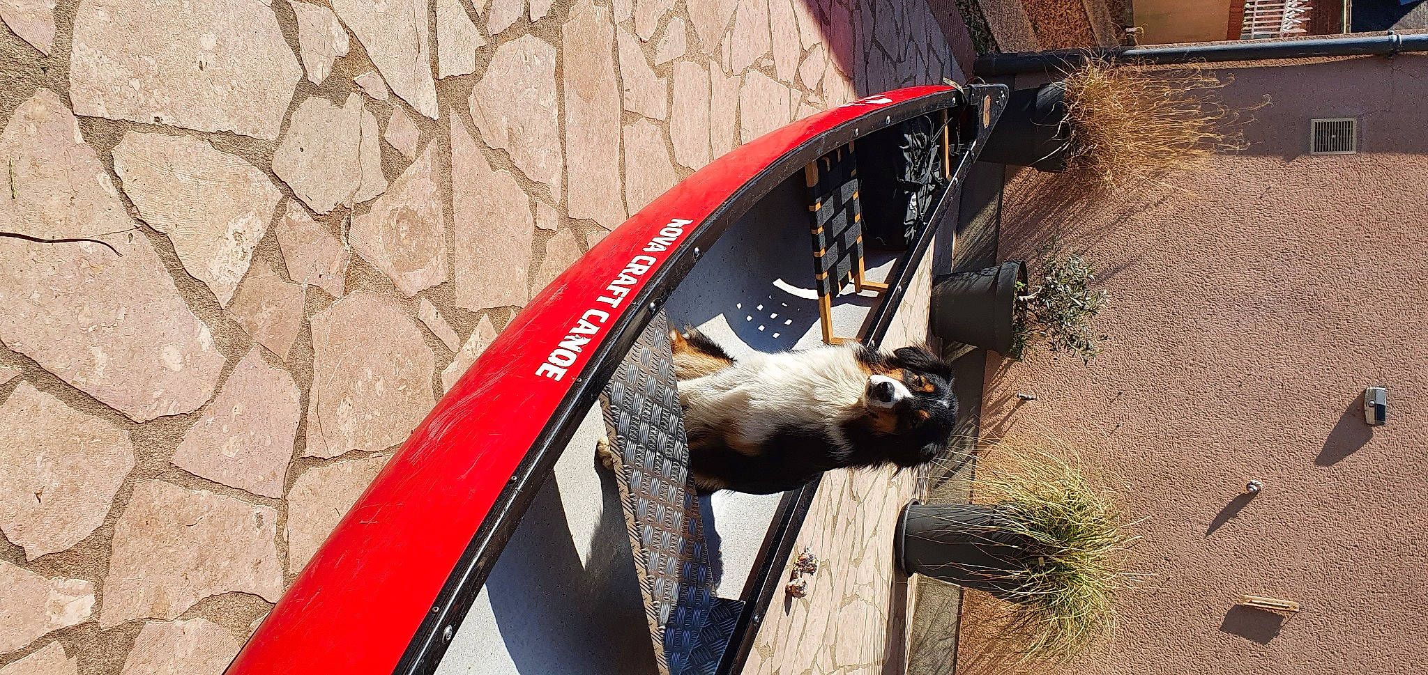 Azylis participe au concours pour gagner de l'argent avec cette photo : auto_part, automotive_tire, automotive_wheel_system, bicycle_fork, bicycle_frame, bicycle_part, bicycle_tire, carnivore, felidae, fender, metal, motor_vehicle, plant, recreation, rim, steel, tail, terrestrial_animal, water, wood